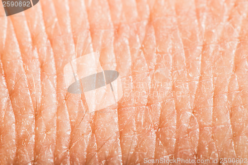 Image of Close up human skin. Macro epidermis 