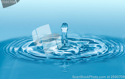 Image of Drop in water