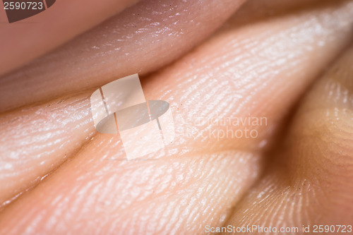 Image of Close up human skin. Macro epidermis 