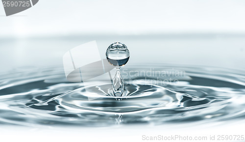 Image of Drop in water