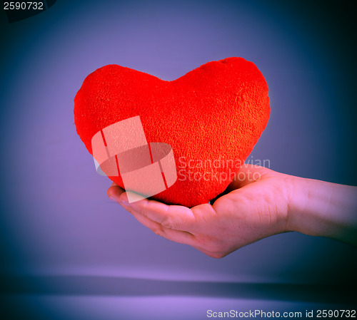 Image of Vintage look red plush heart.