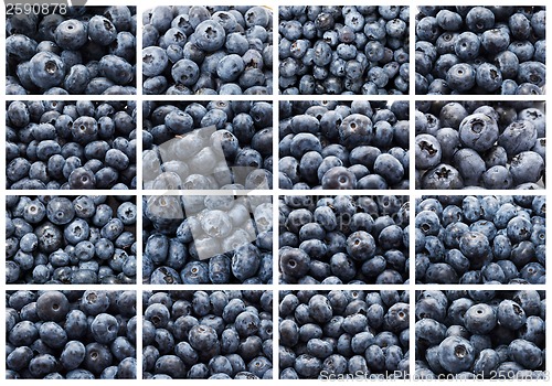 Image of Blueberries