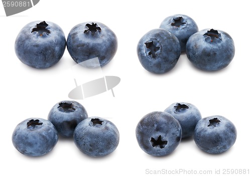 Image of Blueberry set