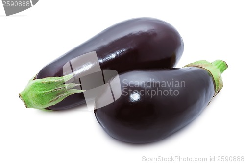 Image of Aubergine
