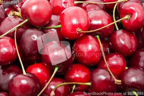 Image of Red cherry