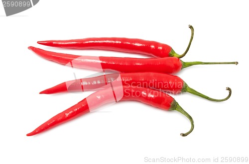 Image of Hot chili pepper