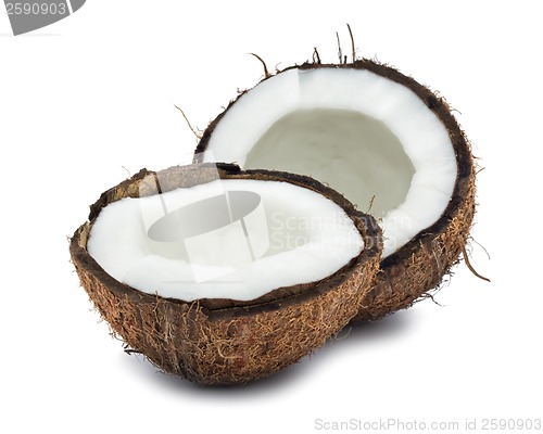 Image of Coconut