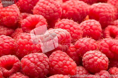 Image of Raspberries