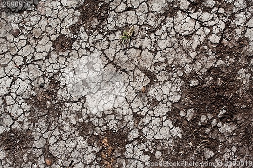 Image of Dry land