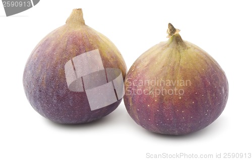 Image of Fig