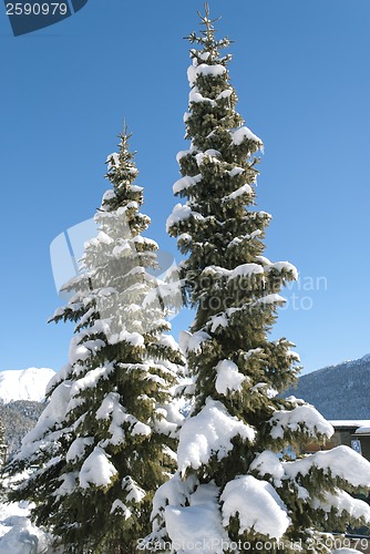 Image of Winter in St Moritz