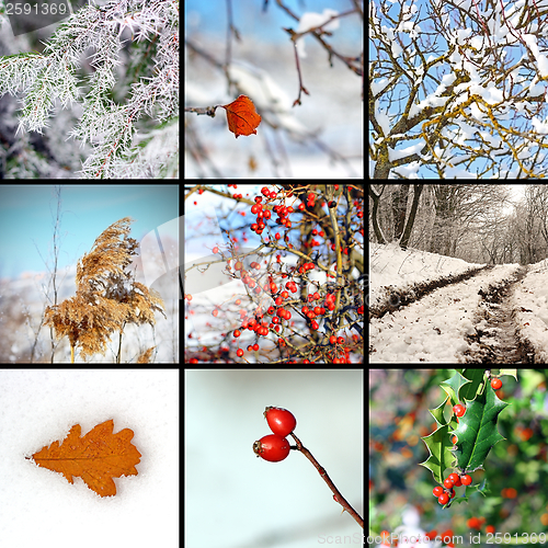 Image of collage with winter images