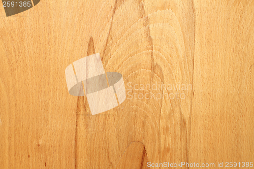 Image of wooden veneer texture