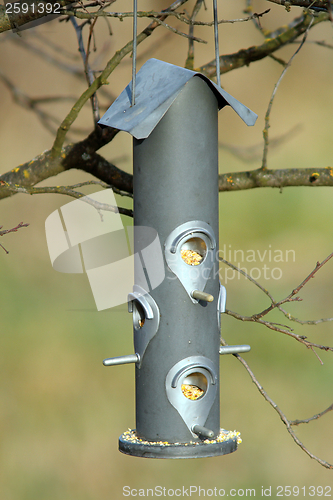 Image of seed feeder for wild birds