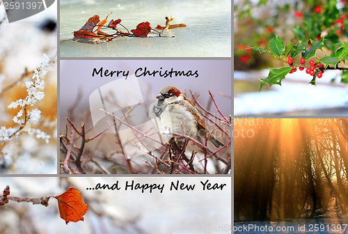 Image of winter greeting card