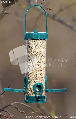 Image of bird feeder full of seeds