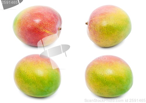 Image of Mango