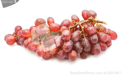 Image of Grapes