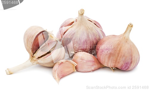 Image of Garlic