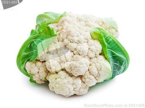 Image of Cauliflower