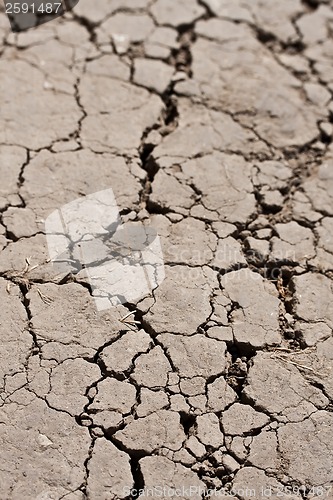 Image of Dry land