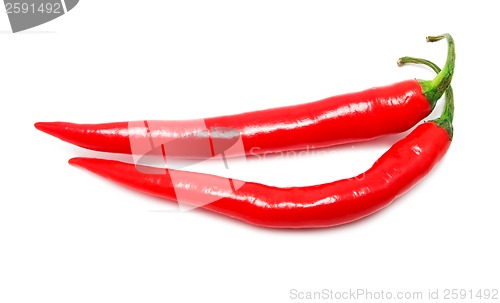 Image of Hot chili pepper