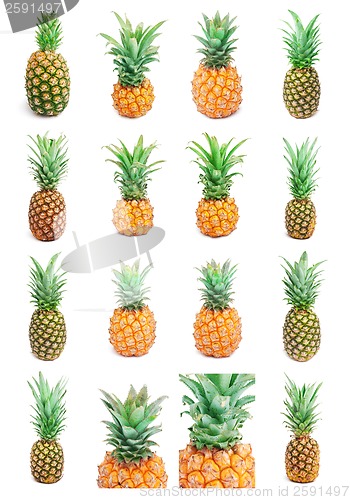 Image of Pineapple