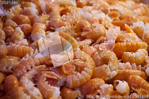 Image of prawns