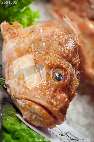 Image of fresh raw fish