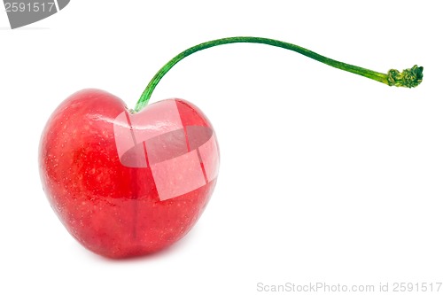 Image of Red cherry