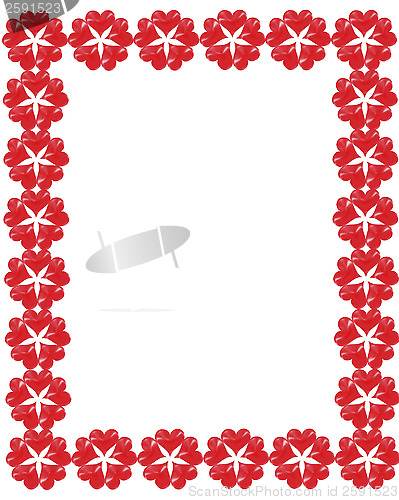 Image of frame from the red illustrated flowers