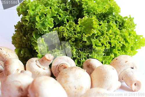 Image of agaric and lettuce ready for the cooking