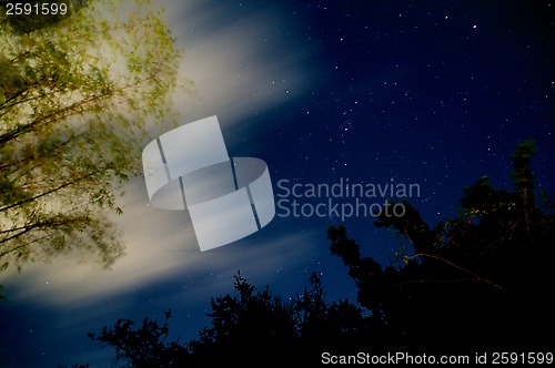 Image of glowing bamboo night sky with clouds and stars