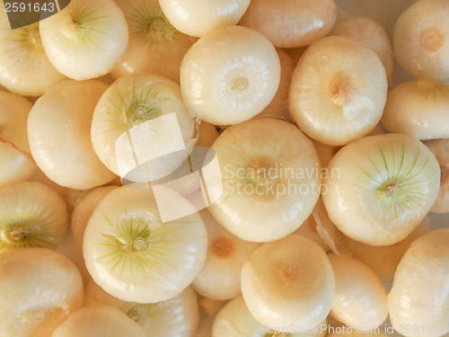 Image of Onions