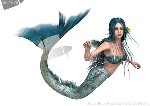 Image of Mermaid