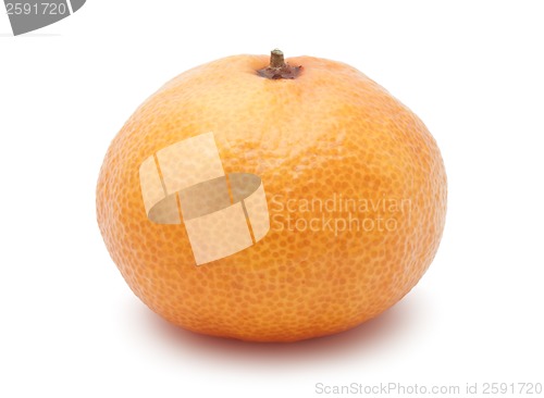 Image of Tangerine
