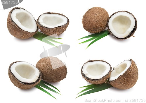 Image of Coconuts