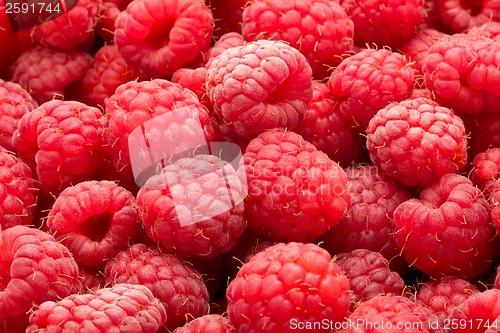 Image of Raspberries