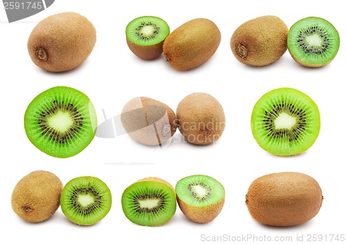 Image of Kiwi