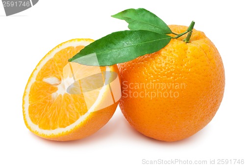Image of Orange