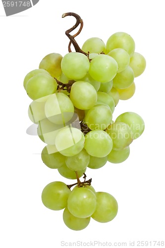 Image of Grapes