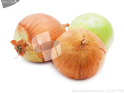 Image of Onion