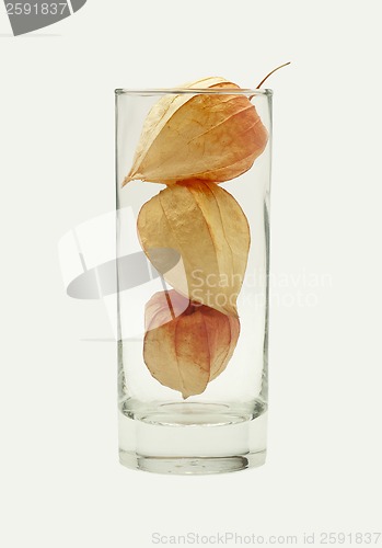 Image of physalis in the glass