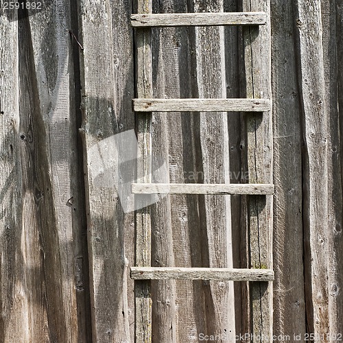 Image of wooden ladder