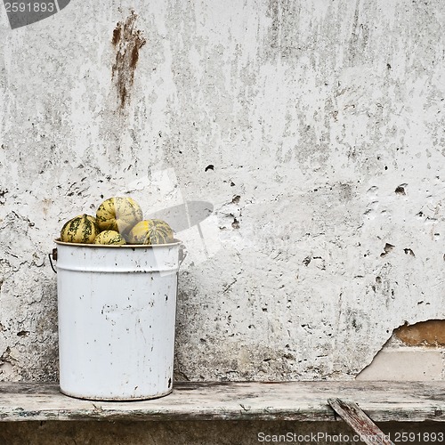 Image of pumpkins in the bucket