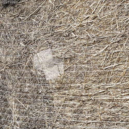 Image of straw bale