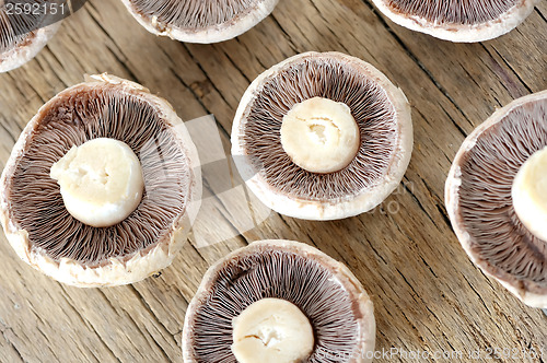 Image of brown mushrooms