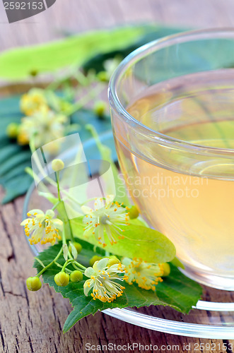 Image of Cup of tea and linden flowers