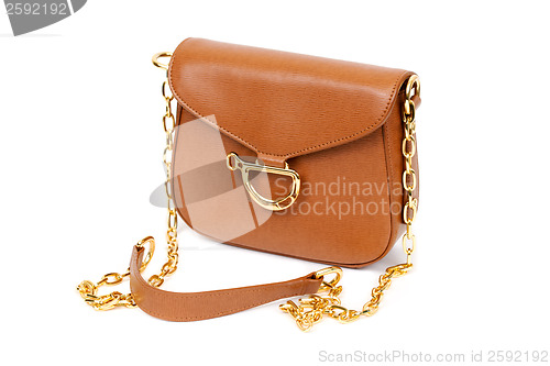 Image of Brown leather bag