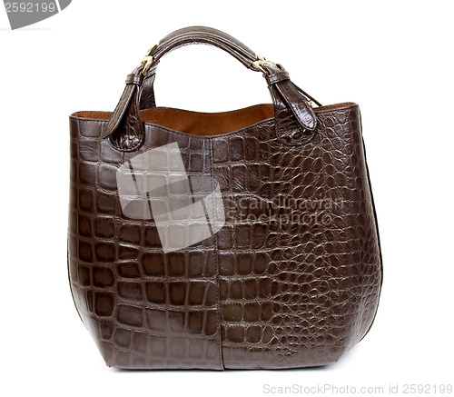 Image of Luxury female handbag over white